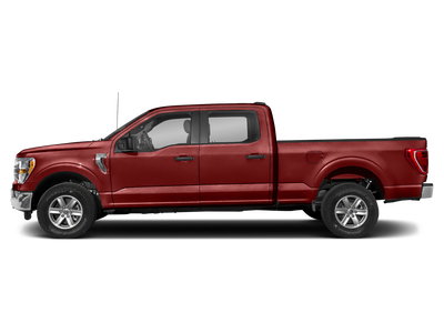 2023 Ford F-150 XLT PICKUP 4D 6 1/2 FT