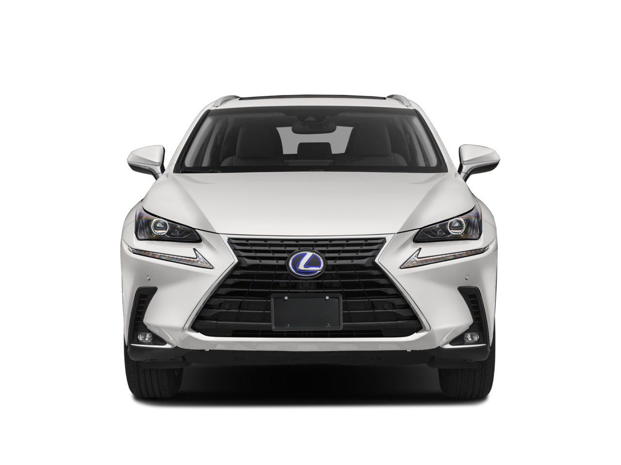 2018 Lexus NX NX 300h