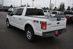 2017 Ford F-150 XLT PICKUP 4D 5 1/2 FT